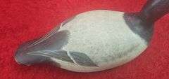 Evans Canvasback Decoy