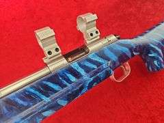 Custom Holeshot  2500X  22LR  Target Rifle