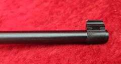 Ruger  10/22 Wild Hog TALO Edition  22 cal.   Rifle