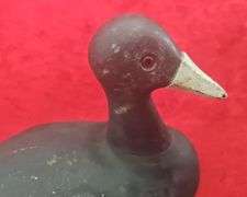 Early Fred Strey Oshkosh,  Coot Decoy