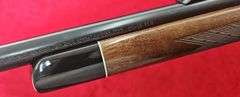 Remington   Model 700BDL DM Engraved  25-06  Rifle