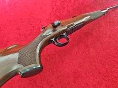Remington   Model 700   30-06   Mountain Rifle DM