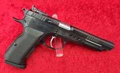 EAA  Witness Hunter  10mm  Pistol