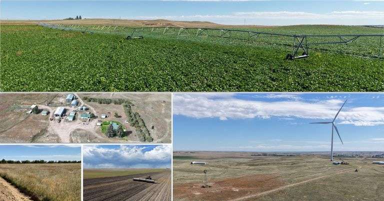 Snyder Family Farm - 1,586 Acres Offered in 3 Tracts