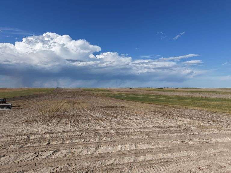 Tract Three - 160 +/- Acres Productive Dryland Quarter