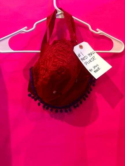 Red Bra Purse