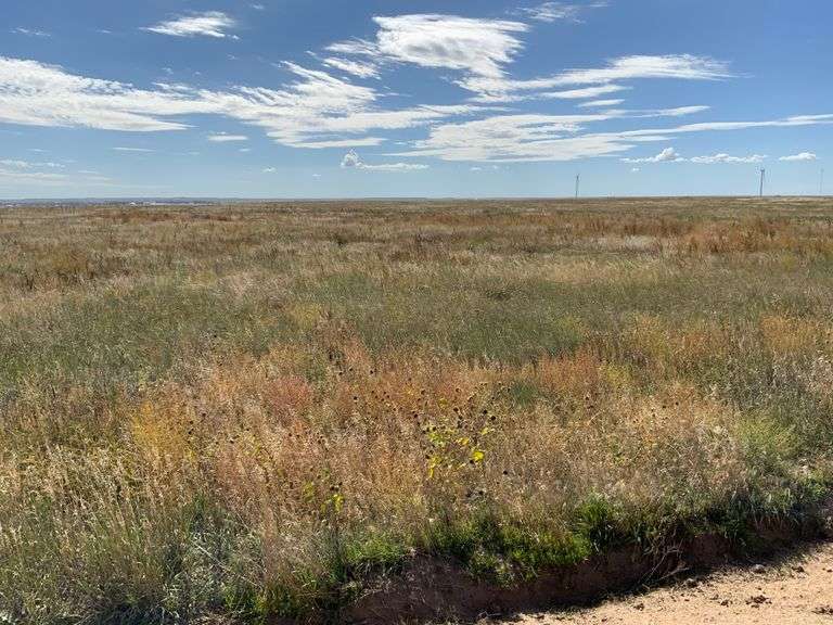 Tract Two - 303.7 +/- Acres CRP & Wildlife Habitat