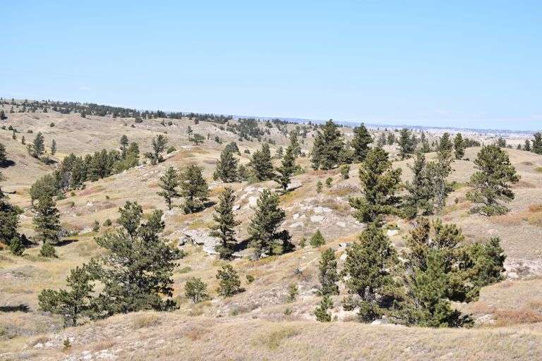 The Heirs of Morris Sandberg Land Auction