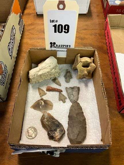 Arrowheads, Buffalo Nickel, Petrified Bone