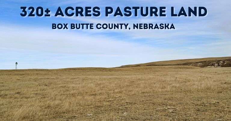 320 +/- Acres Box Butte County Pasture Land