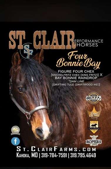 1 Breeding to AQHA Stallion Four Bonnie Bay