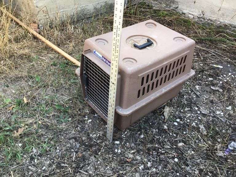 Petmate pet carrier