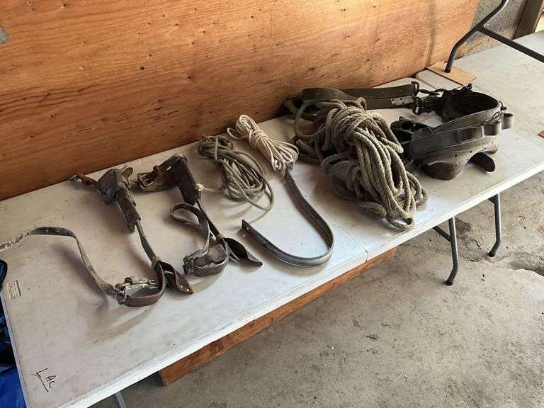 Lineman spurs/belt/rope