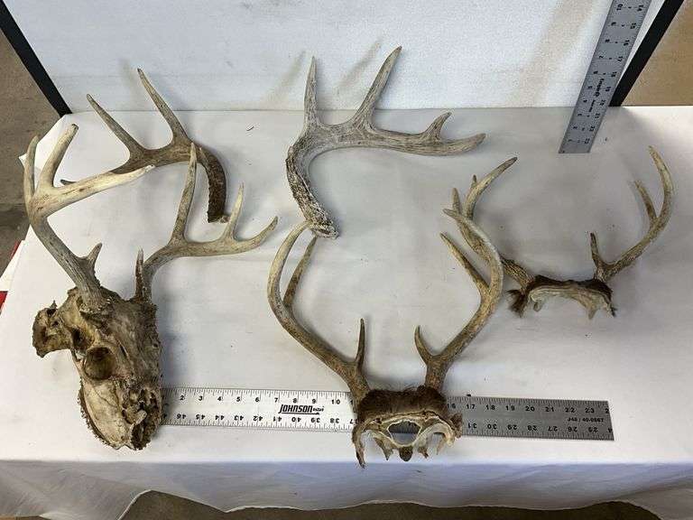 Antlers