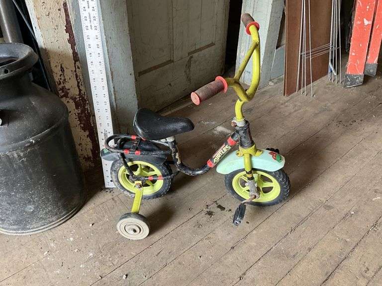 Teenage Mutant Ninja Turtle Kids bike