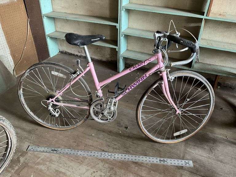 Vintage ladies, Schwinn bike