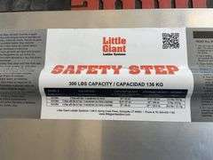 Little Giant step ladder
