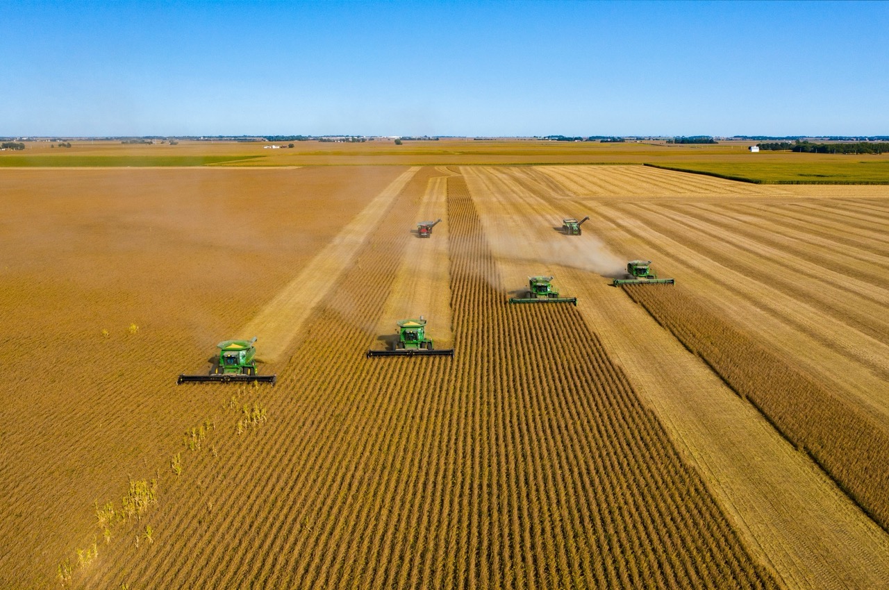 Consignment Auctions