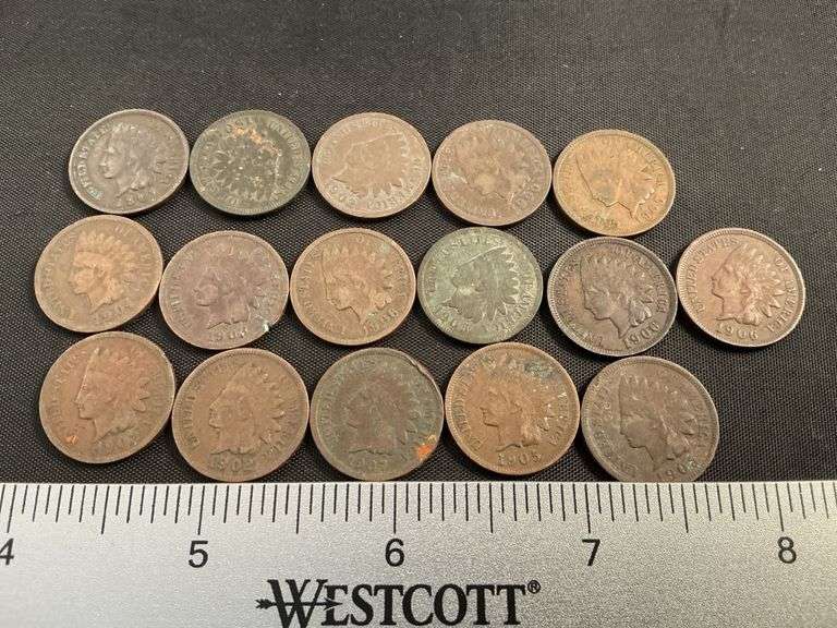 (16) Indian head cents 1900-1907
