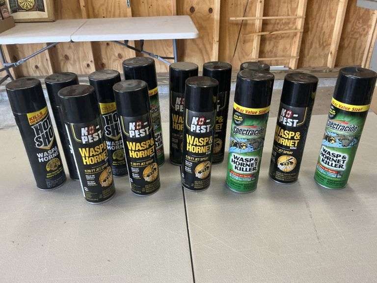 Wasp and hornet spray,  etc.  most are full