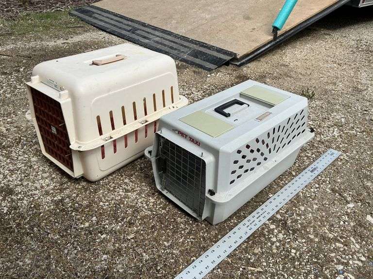 Pet taxis