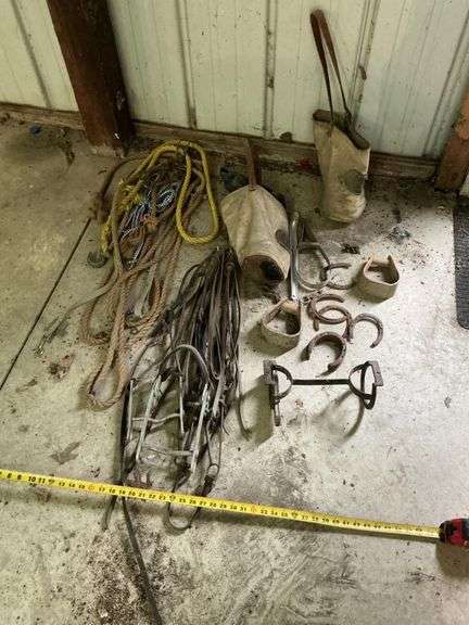 Assorted horse items