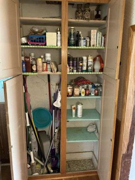 Cleaners/mops and other contents of cabinet