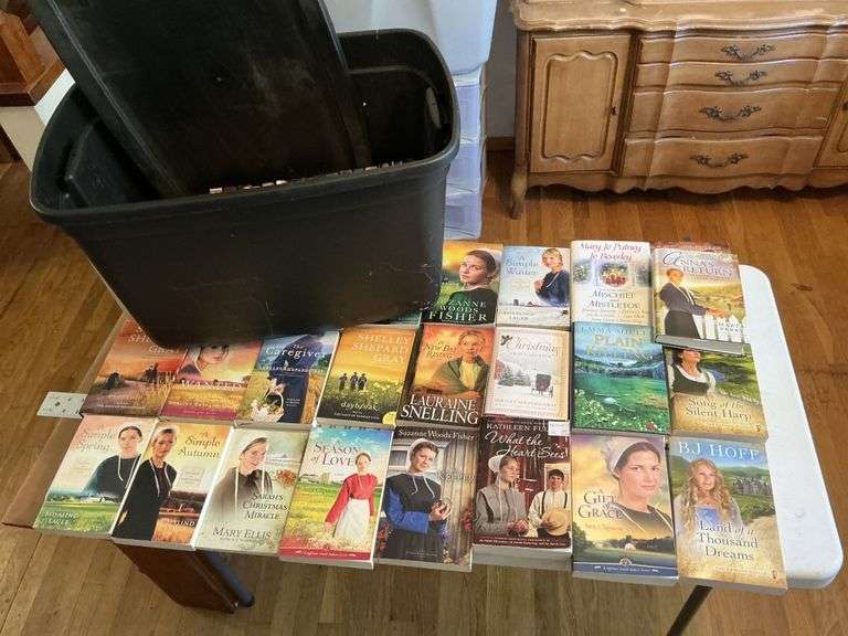 Amish romance novels