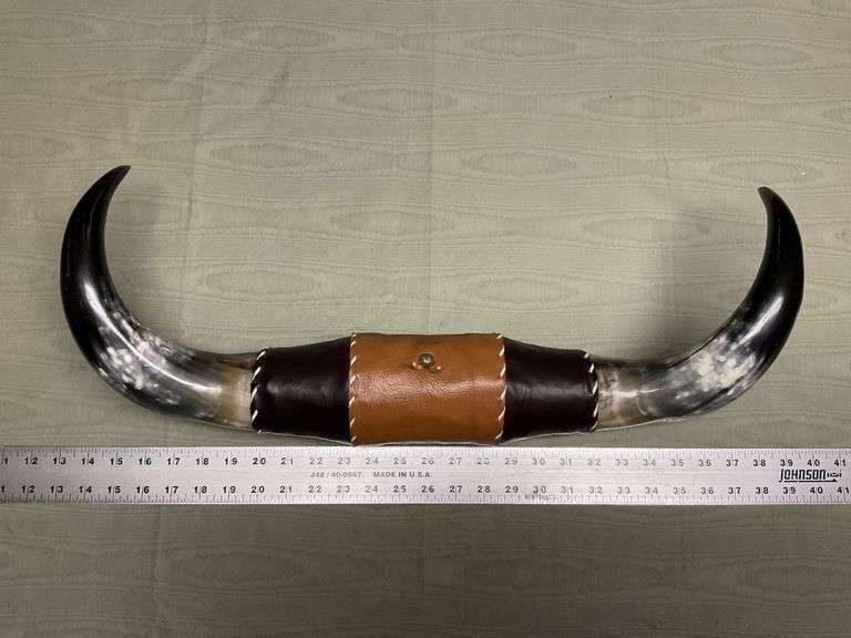 Vintage steer horns