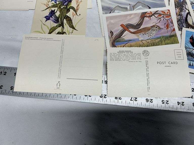 Flower & bird postcards