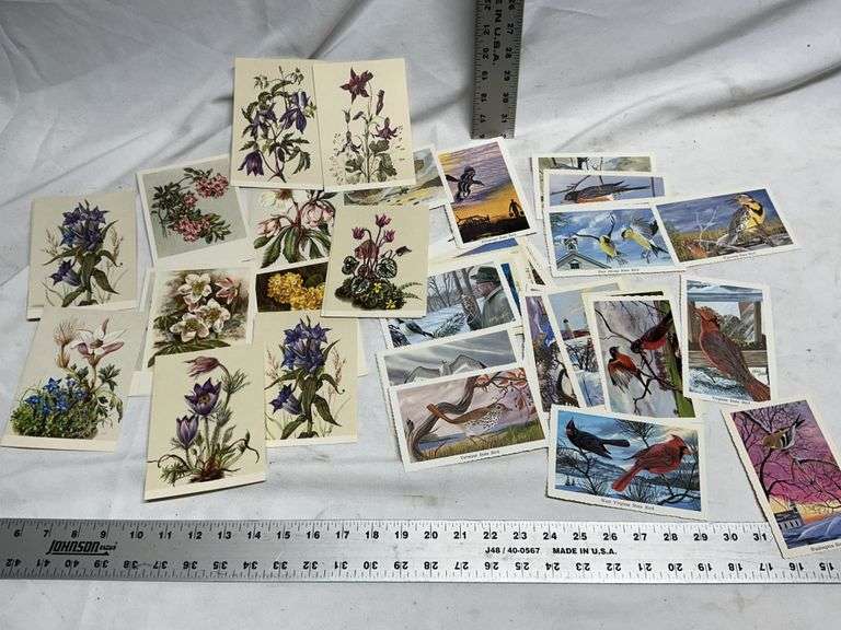 Flower & bird postcards