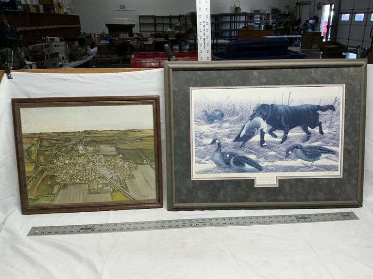 Aerial picture & dog picture