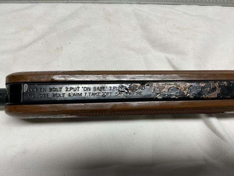 Sears BB gun