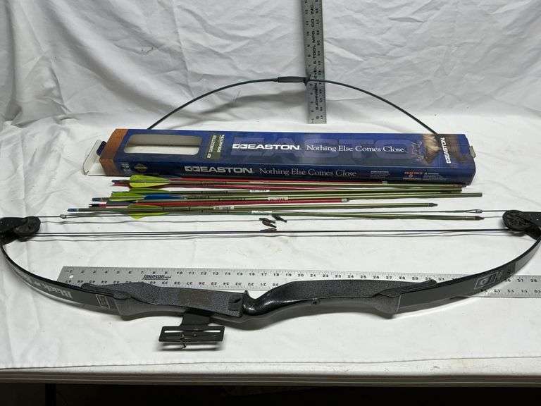 Compound bow and arrows