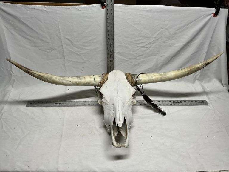 Skull