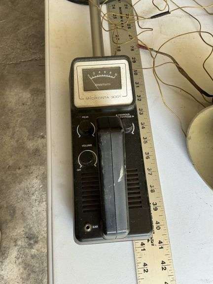 Metal detector and horns