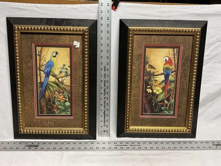 Parrot pictures
