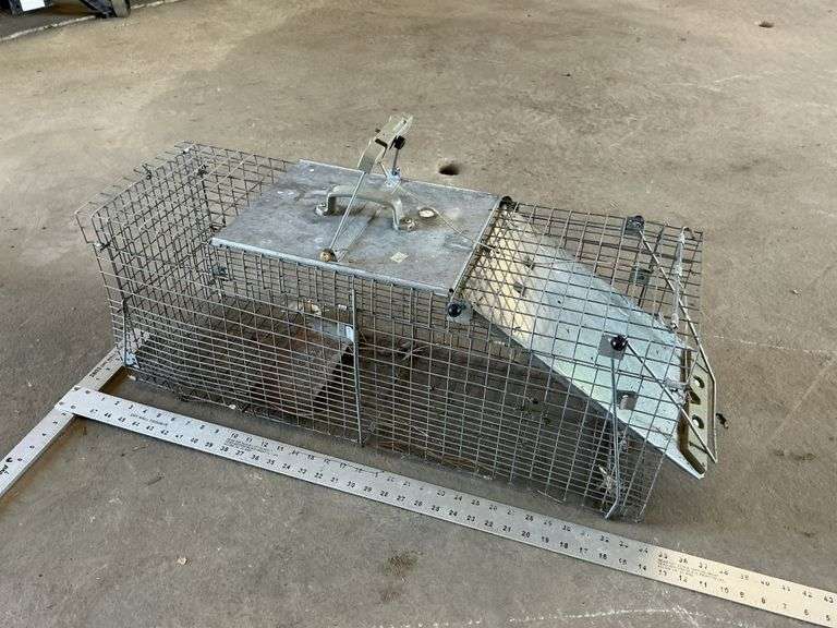 Live trap