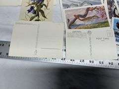 Flower & bird postcards