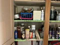 Cleaners/mops and other contents of cabinet
