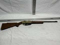 Sears BB gun