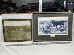Aerial picture & dog picture