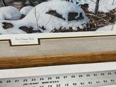 River Bottom Buck print by Jim Hansel
