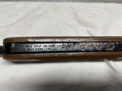 Sears BB gun