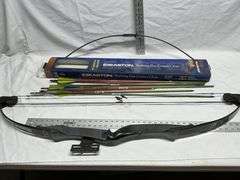 Compound bow and arrows