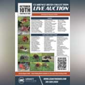 Thumbnail image of Reed Collection Sale Bill.pdf