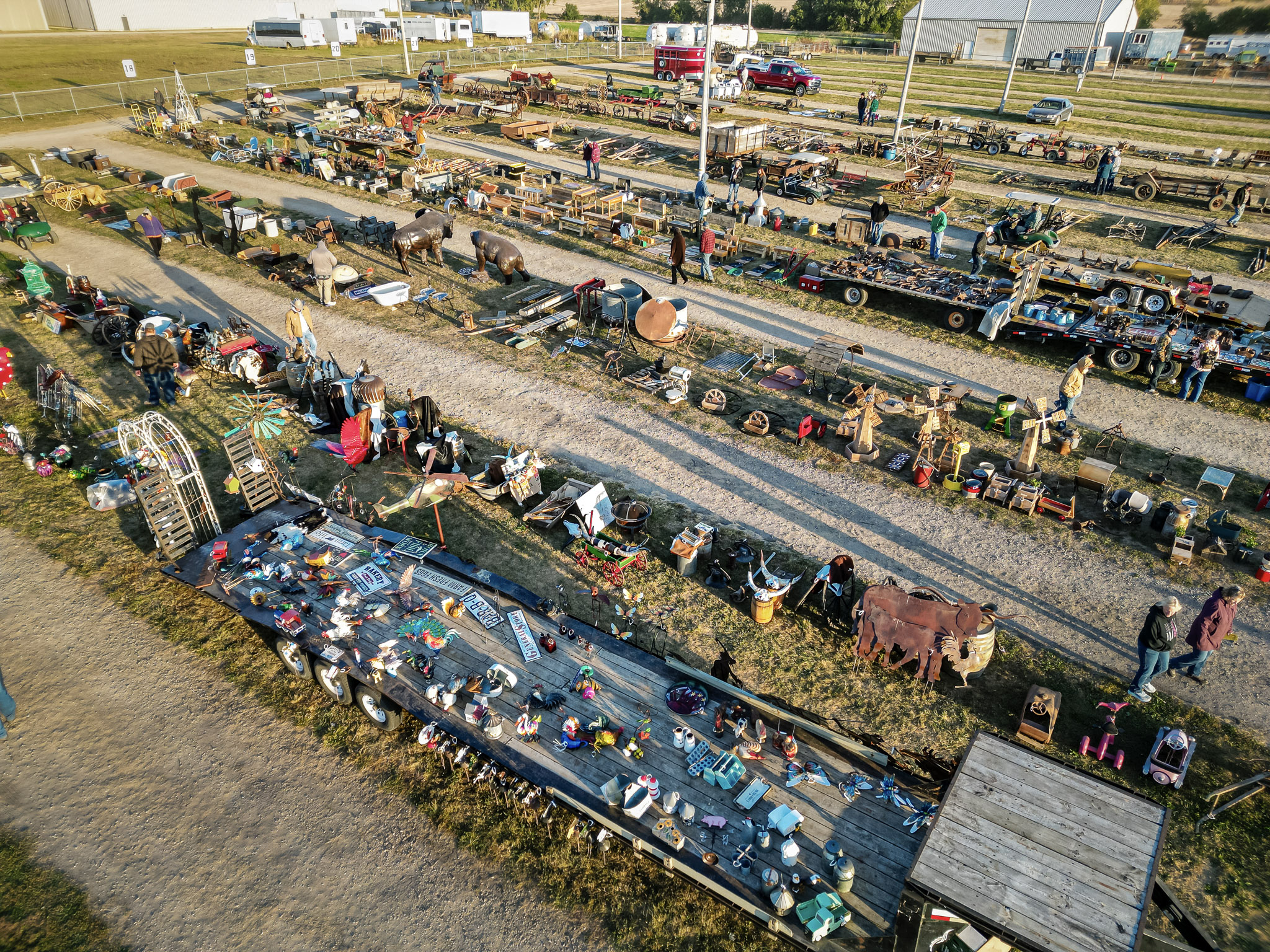 Waverly Horse Sale