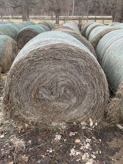 (7) 4' x 5' grass mix round bales 2024 cut