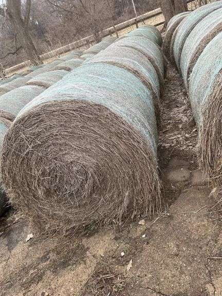(8) 4' x 5' grass mix round bales 2024 cut