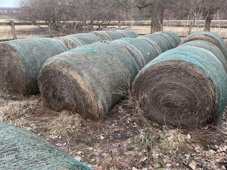 (12) 4' x 5' grass mix round bales 2024 cut